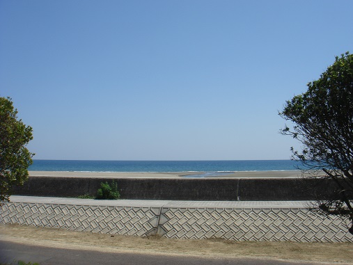 海辺の・・・.jpg