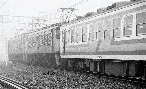 165モントレー | 翌檜 「お暇便り」 - 楽天ブログ