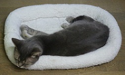 5DA_4579-20.jpg