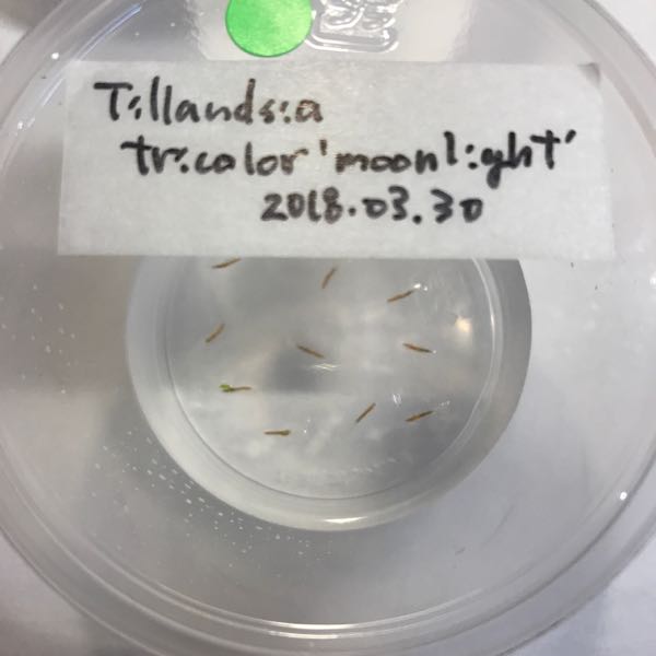 rblog-20180417020945-01.jpg