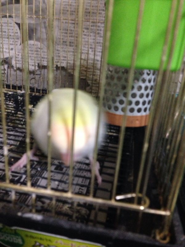 rblog-20140423185234-03.jpg