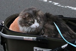 IMG_6628-30.jpg