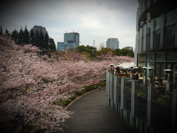 rblog-20160401182958-01.jpg