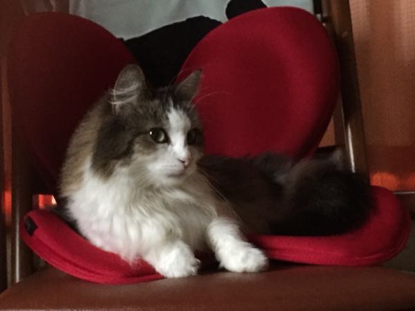 rblog-20150820090244-01.jpg