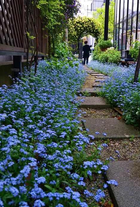 DSC_0137.JPG