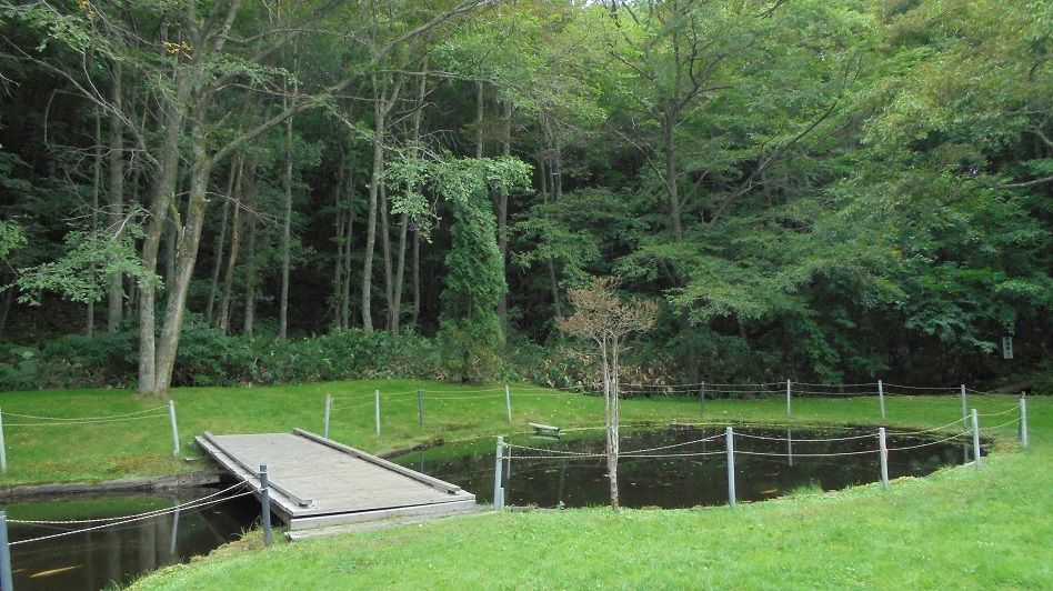 北海道旅先【北広島自然の森キャンプ場 】 北広島市島松5577−1 011-377-8112 | NV350 キャラバンの新車ルートバン3人