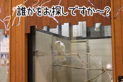 夜１６.JPG