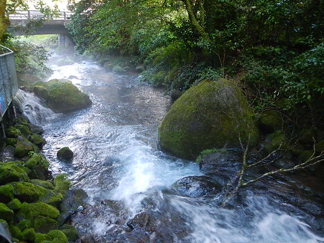 　２０１２・１０・２０　鹿児島同窓会・水源・整骨院。 001.jpg