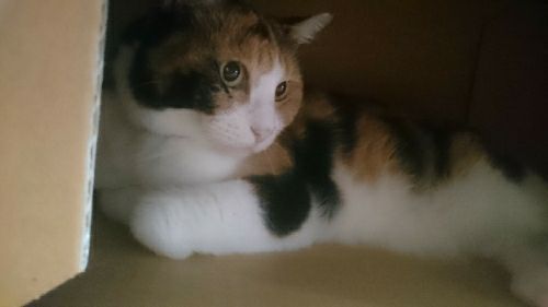 rblog-20170912175925-01.jpg