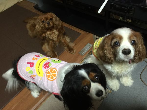 rblog-20160412211615-02.jpg