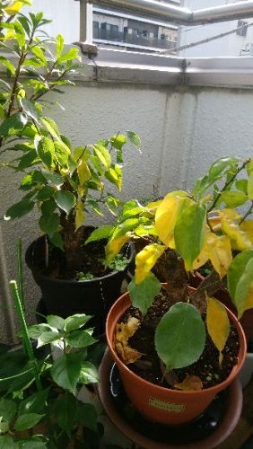 rblog-20171103112352-01.jpg