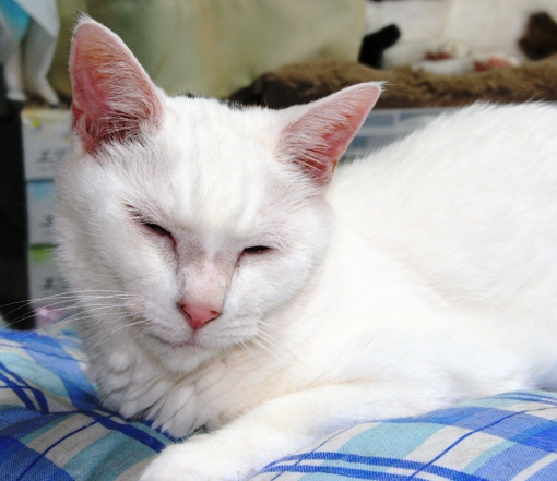 20150923ﾐﾙ01.jpg