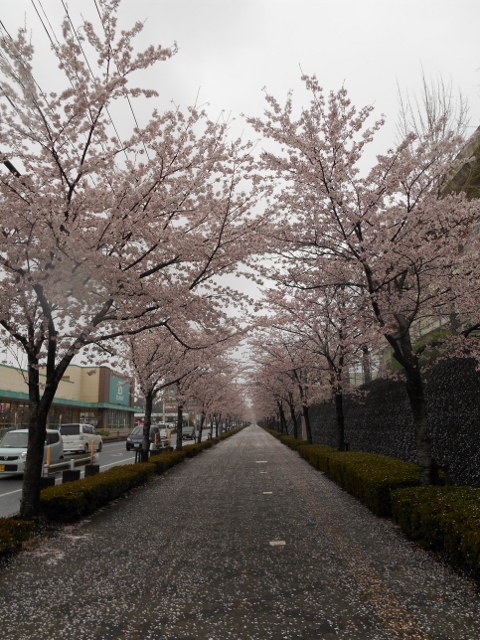 004 (480x640).jpg