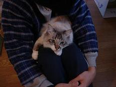 画像 278.jpg