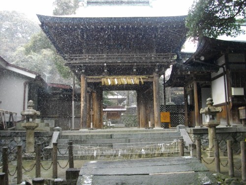 志賀海神社 (2) (500x375).jpg