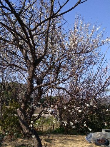 rblog-20180304093649-02.jpg