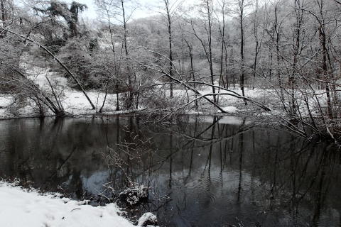 nitijou150110013