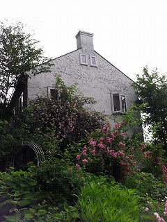 2013-07-06 13.39.08ss.jpg