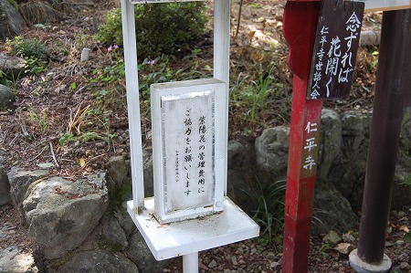 s-DSC_0257.jpg