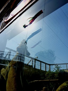 20120428(42).jpg