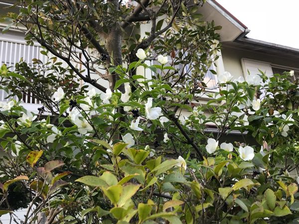 rblog-20180408180306-08.jpg