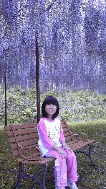 SH3B0136 (360x640).jpg