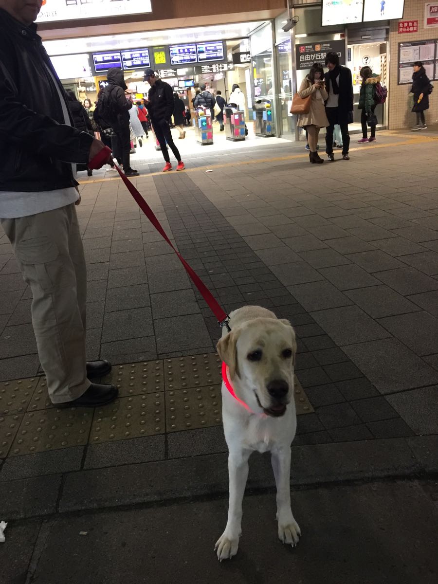 rblog-20190102222324-03.jpg