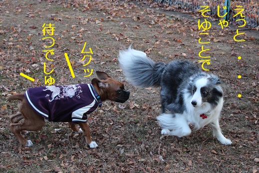 待つでしゅ