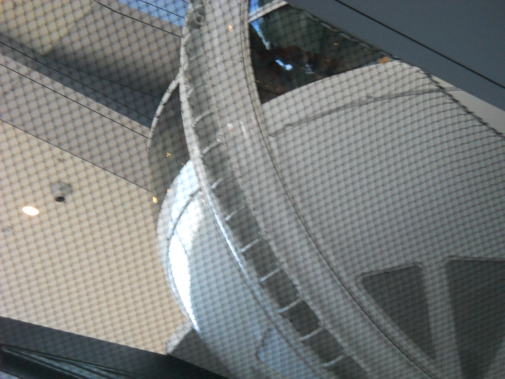 DSCN2610.jpg