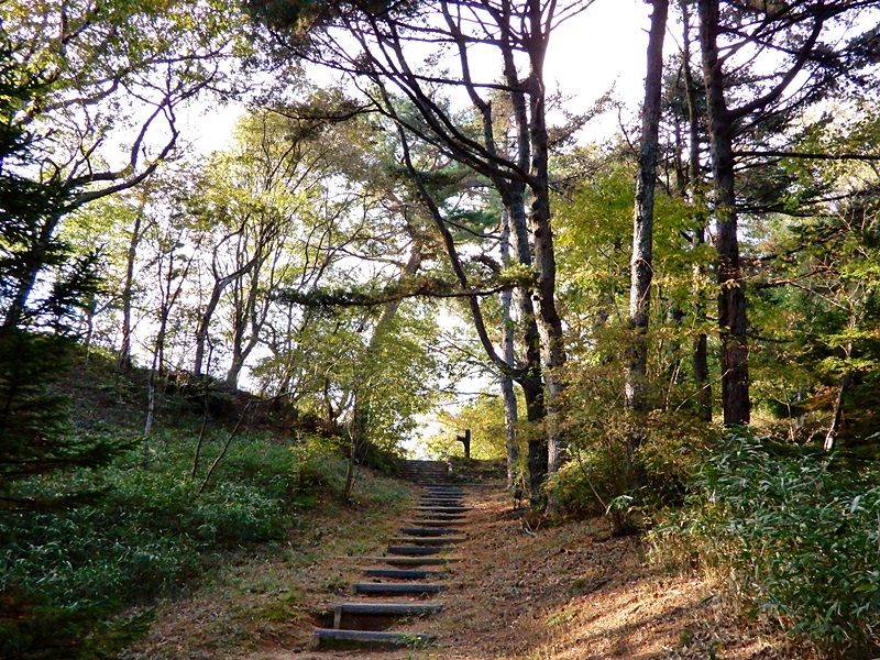 園内路3