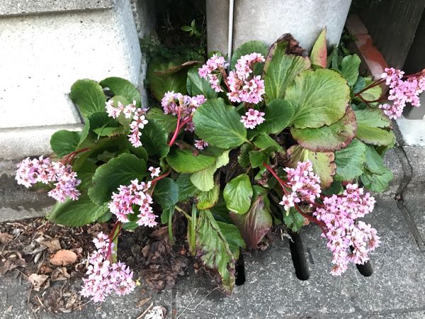 rblog-20180328191719-09.jpg