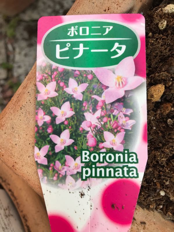 rblog-20190324174020-00.jpg