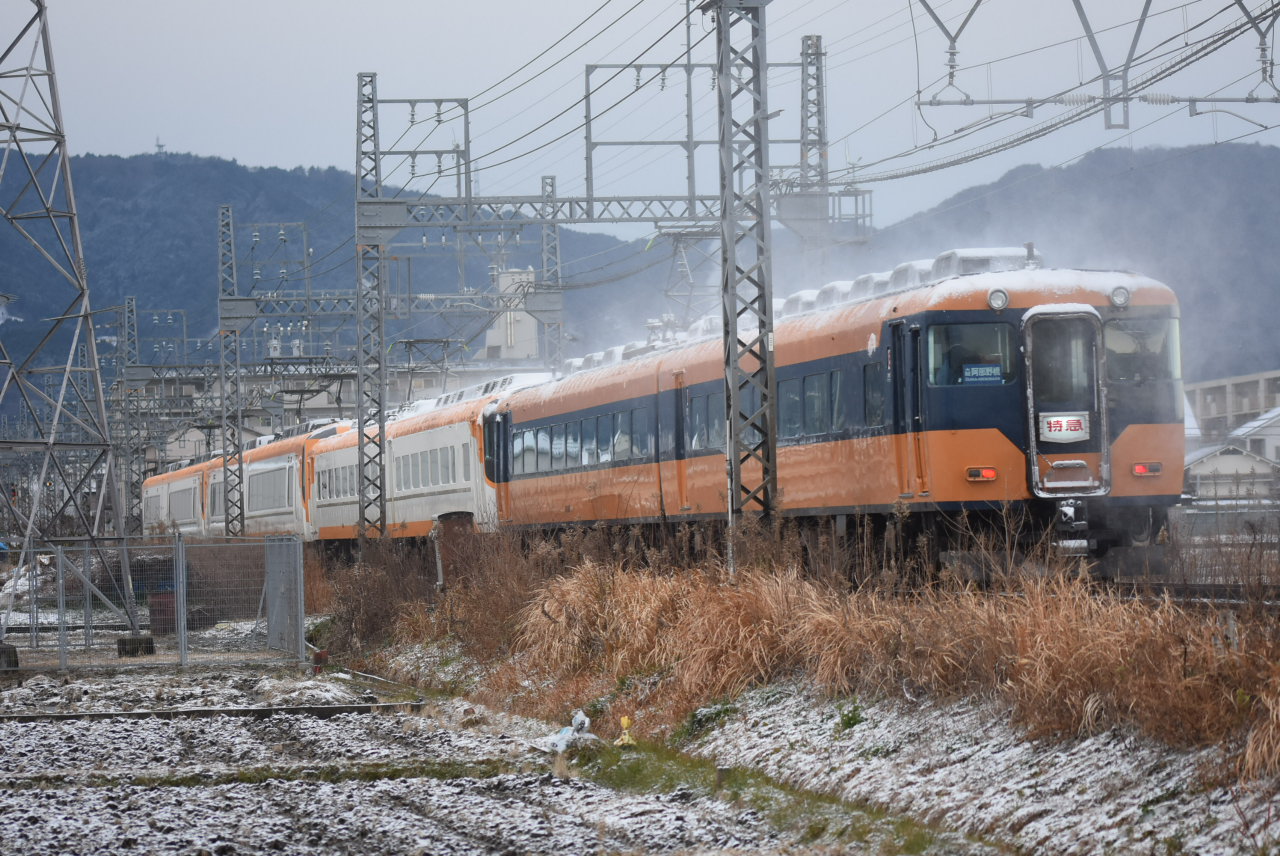 DSC_7223.JPG