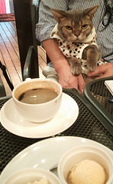 DSC_7210-5.jpg