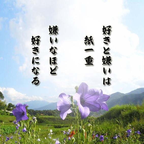 好きと嫌いは紙一重 人生訓 みやひょんの青春真っ盛り 楽天ブログ