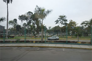 南米1001.jpg