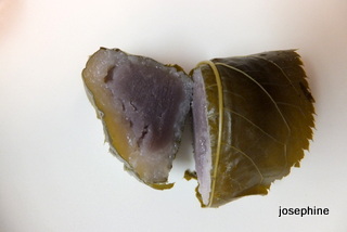 DSCF5824.JPG
