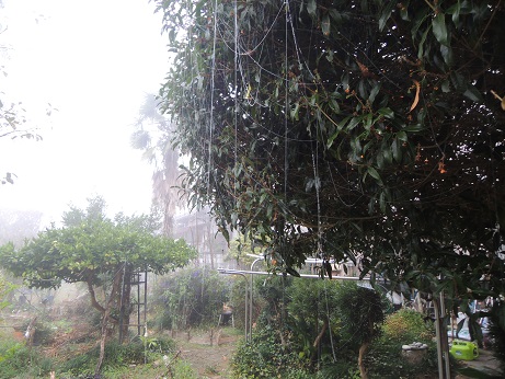 DSCN6566.JPG