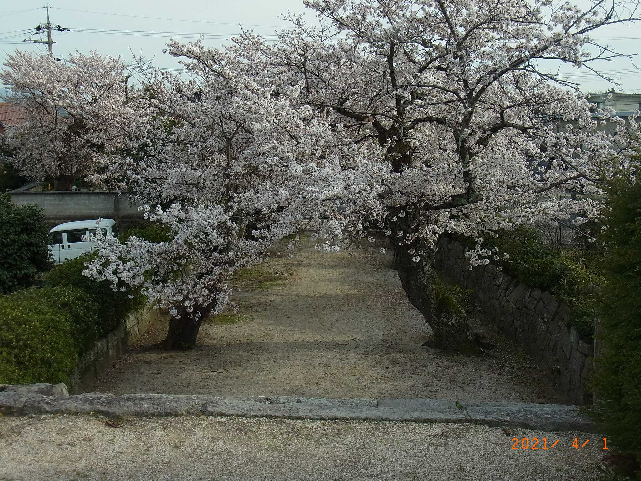 安養寺3