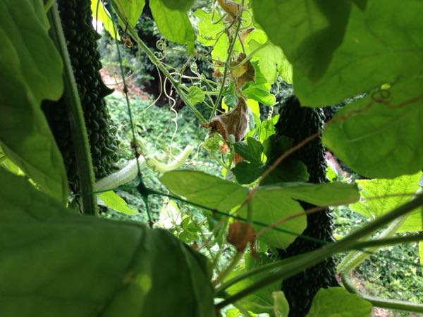 rblog-20160725165542-02.jpg
