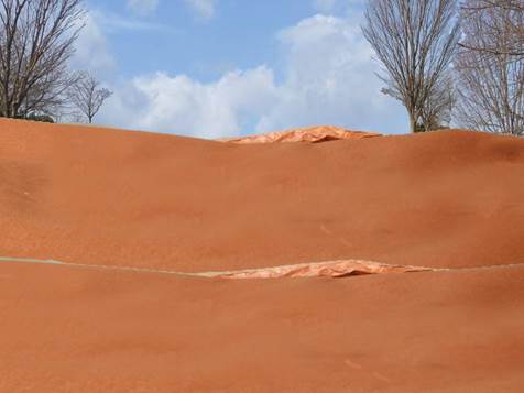 竜脚類の砂漠.jpg