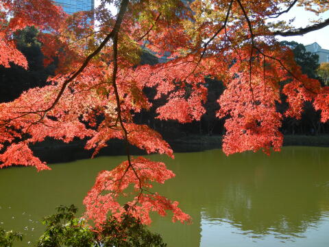 小石川後楽園