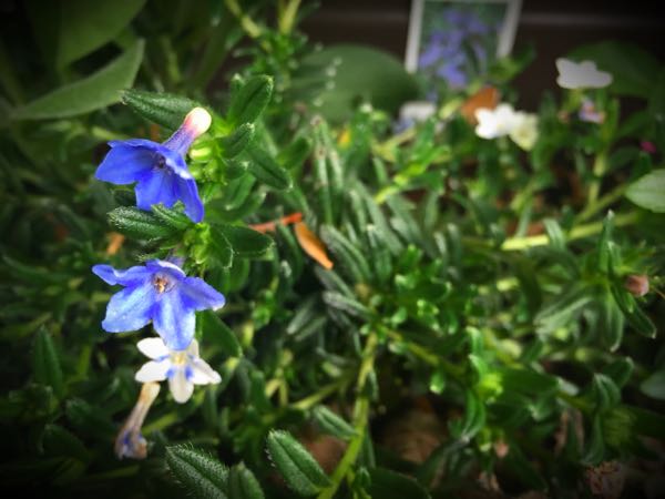 rblog-20160427174116-01.jpg