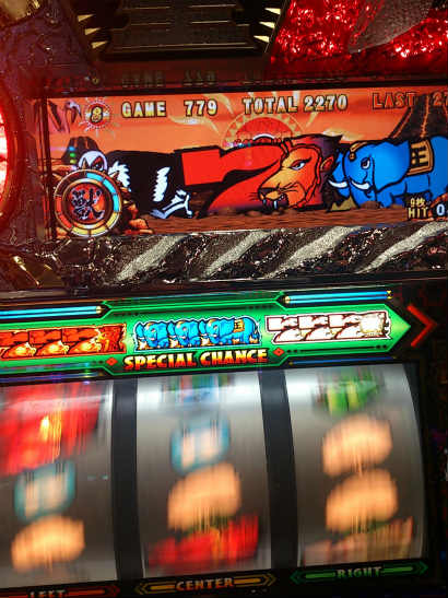 sDSC_0333.jpg