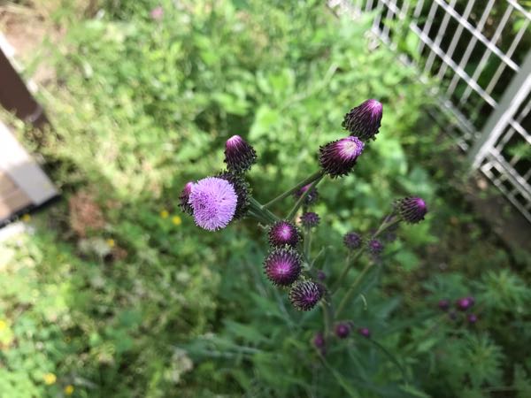 rblog-20180430174711-05.jpg