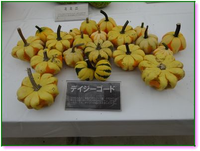 DSC01219.JPG