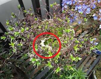 Fmtjamuokfa0 M Fmtjamuokfa0 M