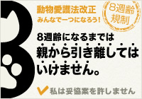 ブログ２.jpg