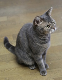 5DA_7146-25.jpg