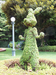 2012Flower53